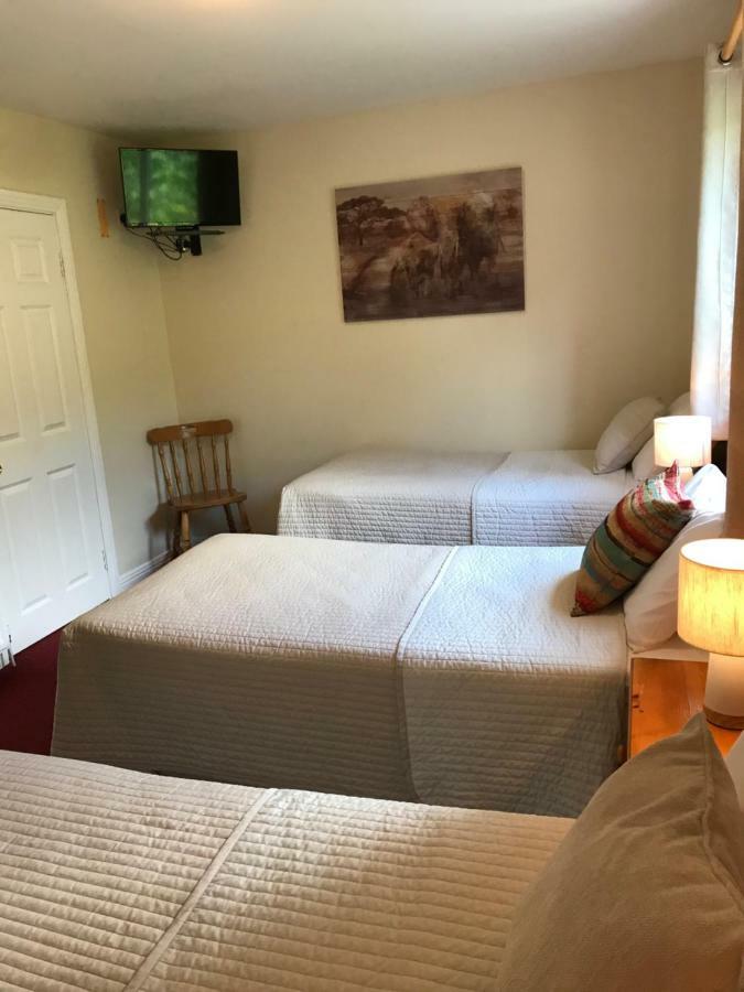 San Antonio Guesthouse Kilkenny Extérieur photo
