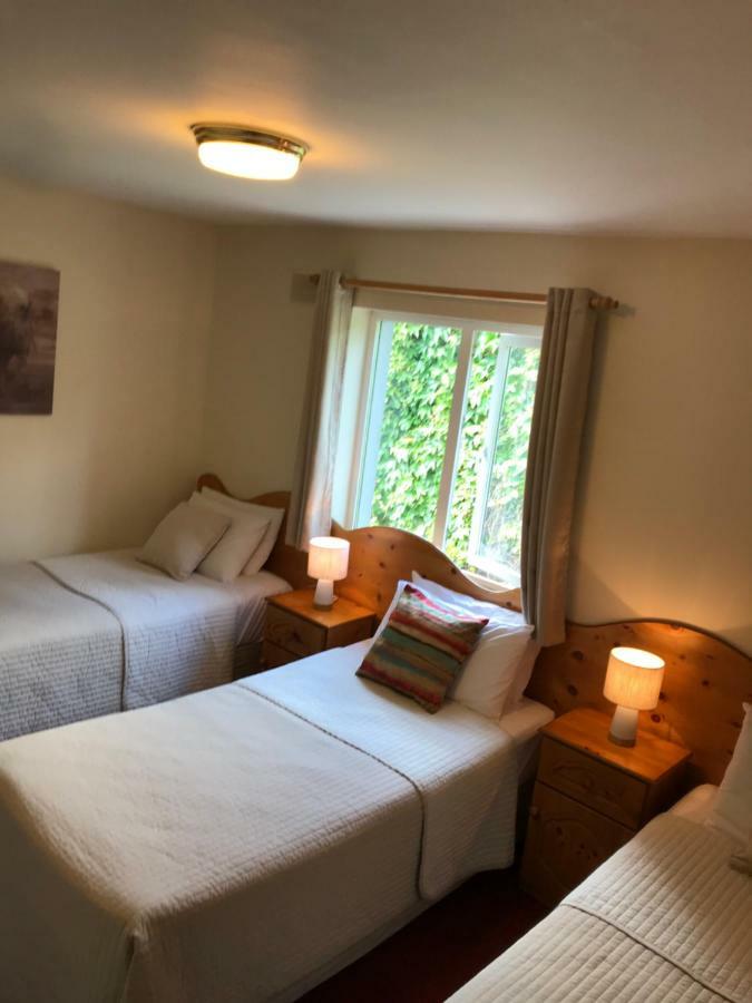 San Antonio Guesthouse Kilkenny Extérieur photo